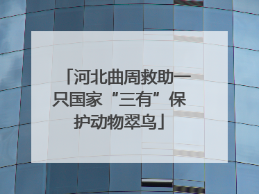 河北曲周救助一只国家“三有”保护动物翠鸟