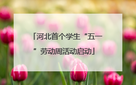 河北首个学生“五一”劳动周活动启动