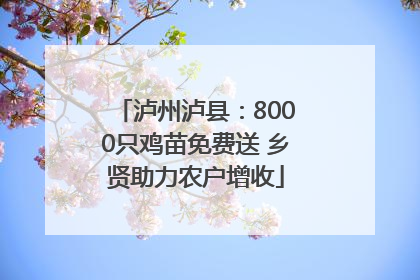 泸州泸县：8000只鸡苗免费送 乡贤助力农户增收