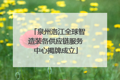 泉州洛江全球智造装备供应链服务中心揭牌成立