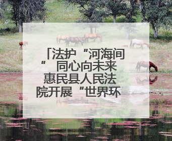 法护“河海间” 同心向未来 惠民县人民法院开展“世界环境日”普法宣传活动