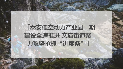 泰安低空动力产业园一期建设全速推进 文庙街道聚力攻坚抢抓“进度条”