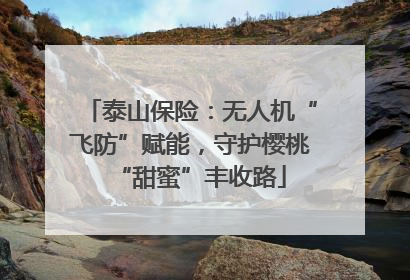 泰山保险：无人机“飞防”赋能，守护樱桃“甜蜜”丰收路
