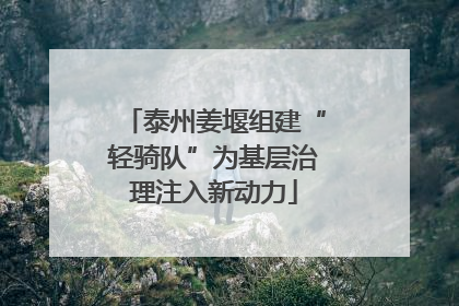 泰州姜堰组建“轻骑队”为基层治理注入新动力