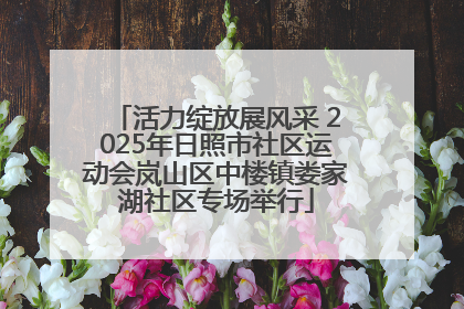 活力绽放展风采 2025年日照市社区运动会岚山区中楼镇娄家湖社区专场举行