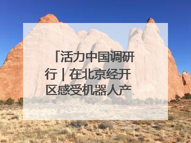 活力中国调研行｜在北京经开区感受机器人产业创新发展