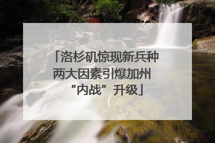 洛杉矶惊现新兵种 两大因素引爆加州“内战”升级