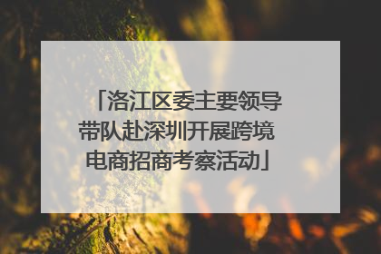 洛江区委主要领导带队赴深圳开展跨境电商招商考察活动