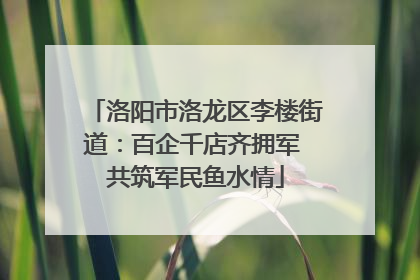 洛阳市洛龙区李楼街道：百企千店齐拥军 共筑军民鱼水情