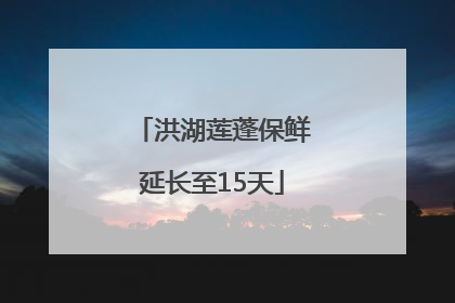 洪湖莲蓬保鲜延长至15天