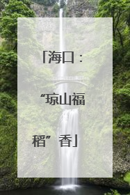 海口：“琼山福稻”香