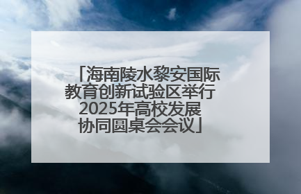 海南陵水黎安国际教育创新试验区举行2025年高校发展协同圆桌会会议