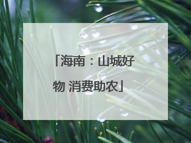 海南：山城好物 消费助农