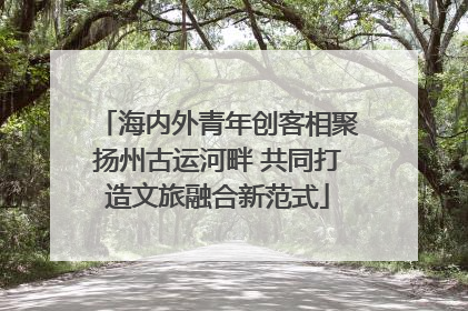 海内外青年创客相聚扬州古运河畔 共同打造文旅融合新范式