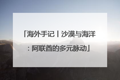 海外手记丨沙漠与海洋：阿联酋的多元脉动