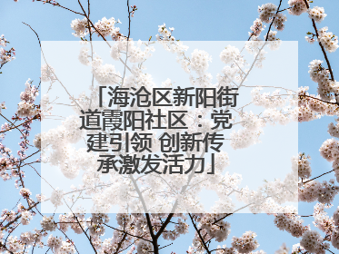 海沧区新阳街道霞阳社区：党建引领 创新传承激发活力