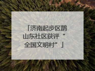 济南起步区鹊山东社区获评“全国文明村”