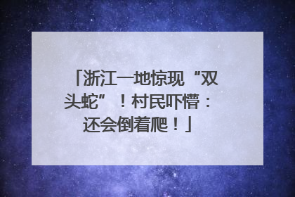 浙江一地惊现“双头蛇”！村民吓懵：还会倒着爬！