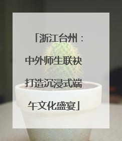 浙江台州：中外师生联袂打造沉浸式端午文化盛宴