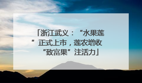 浙江武义：“水果莲”正式上市，莲农增收“致富果”注活力