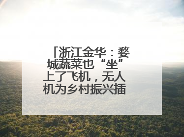 浙江金华：婺城蔬菜也“坐”上了飞机，无人机为乡村振兴插上“翅膀”