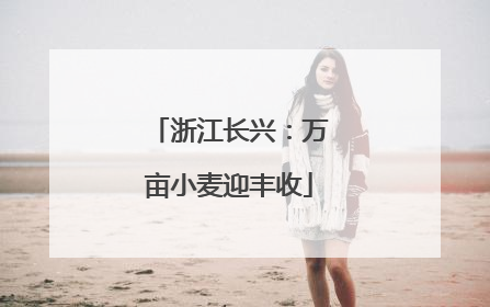 浙江长兴：万亩小麦迎丰收