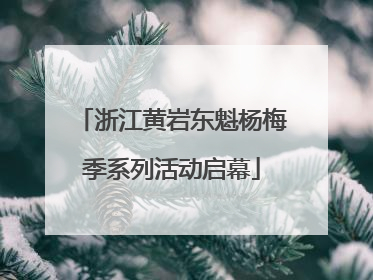 浙江黄岩东魁杨梅季系列活动启幕