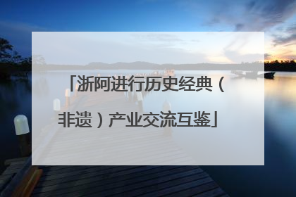浙阿进行历史经典（非遗）产业交流互鉴