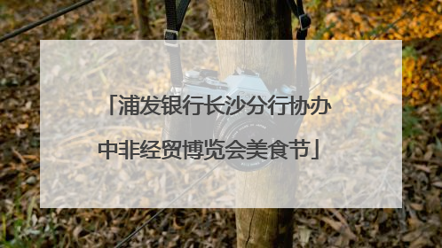 浦发银行长沙分行协办中非经贸博览会美食节