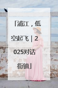 浦江，低空起飞｜2025对话街镇