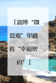 淄博“微景观”里藏着“幸福密码”