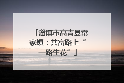 淄博市高青县常家镇：共富路上“一路生花”