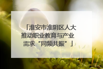 淮安市淮阴区人大推动职业教育与产业需求“同频共振”