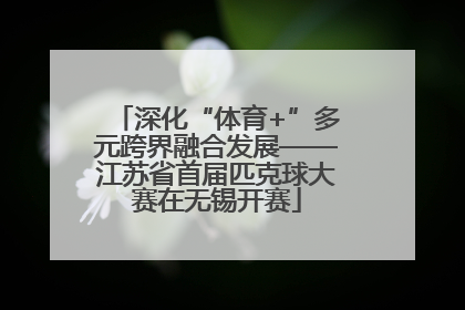 深化“体育+”多元跨界融合发展——江苏省首届匹克球大赛在无锡开赛