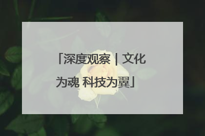 深度观察｜文化为魂 科技为翼