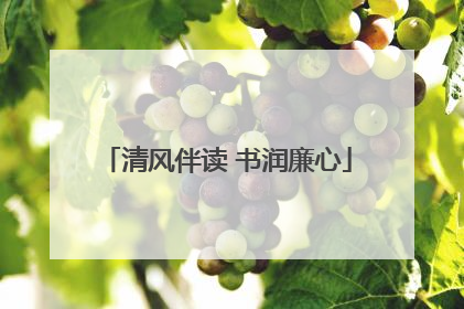 清风伴读 书润廉心