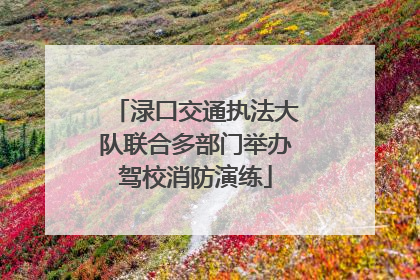 渌口交通执法大队联合多部门举办驾校消防演练