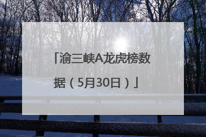 渝三峡A龙虎榜数据（5月30日）