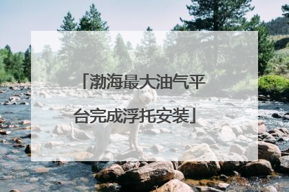 渤海最大油气平台完成浮托安装
