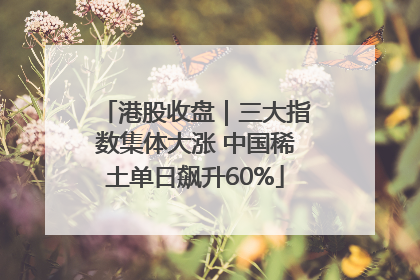 港股收盘｜三大指数集体大涨 中国稀土单日飙升60%