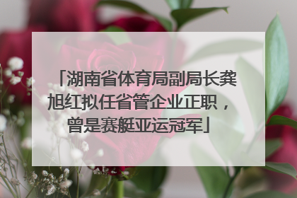 湖南省体育局副局长龚旭红拟任省管企业正职，曾是赛艇亚运冠军