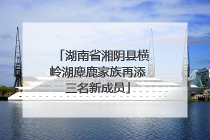 湖南省湘阴县横岭湖麋鹿家族再添三名新成员