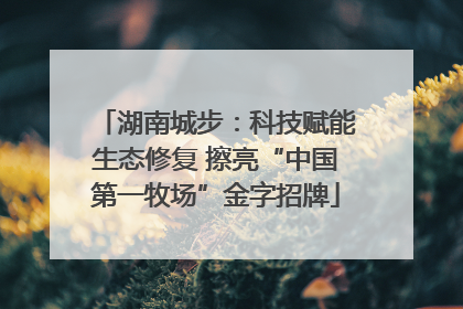 湖南城步：科技赋能生态修复 擦亮“中国第一牧场”金字招牌