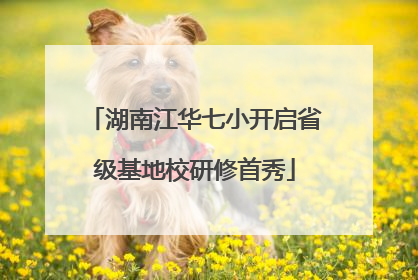 湖南江华七小开启省级基地校研修首秀