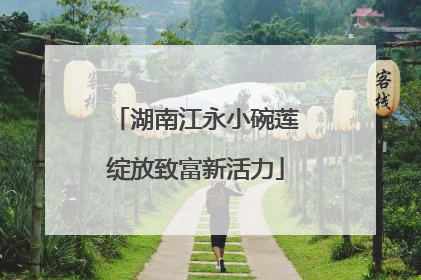 湖南江永小碗莲绽放致富新活力