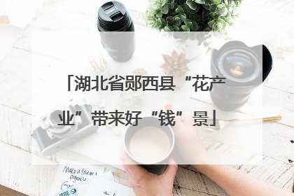 湖北省郧西县“花产业”带来好“钱”景