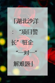 湖北沙洋：“项目警长”驻企 “一对一”解难题