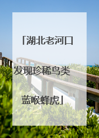 湖北老河口发现珍稀鸟类蓝喉蜂虎