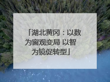 湖北黄冈：以数为窗观变局 以智为镜促转型