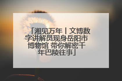 湘见万年丨文博数字讲解员现身岳阳市博物馆 带你解密千年巴陵往事